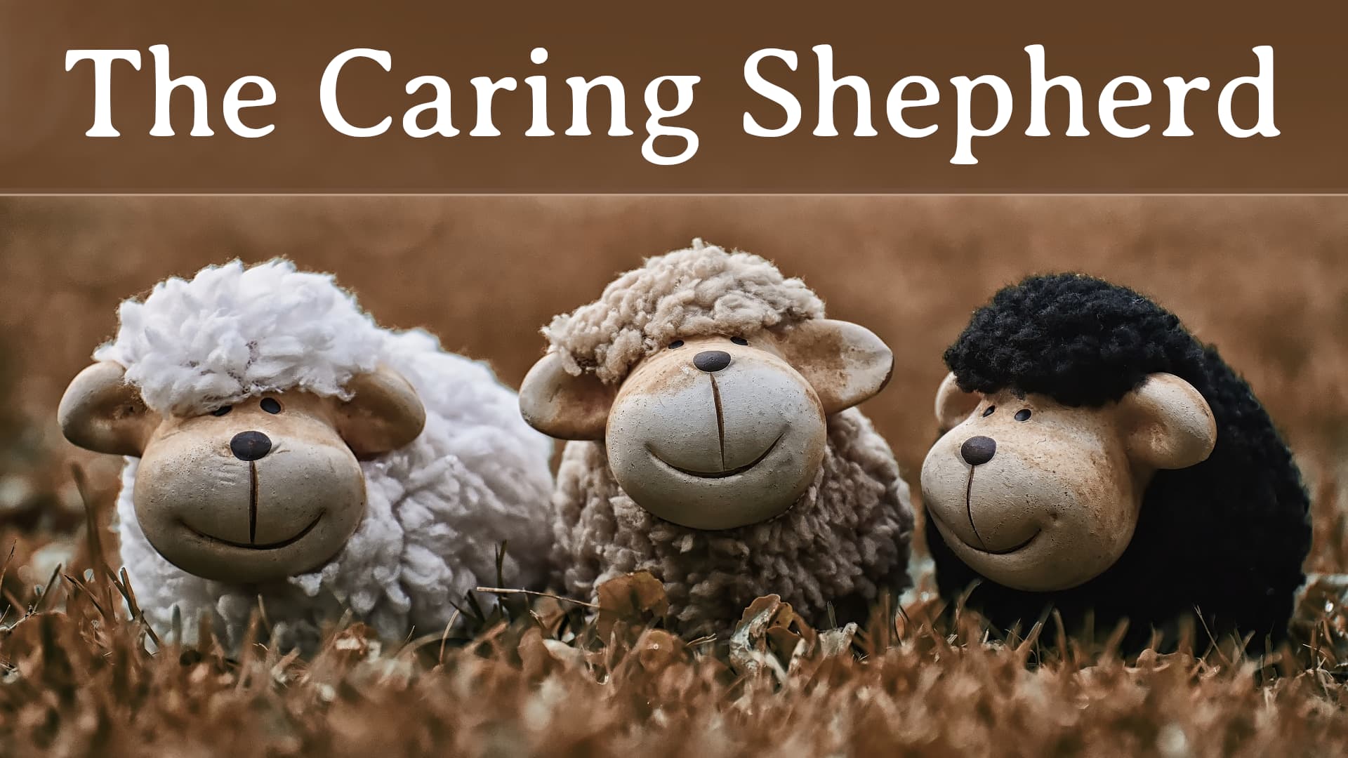 How the shepherd cares for his sheep